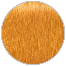 Schwarzkopf Igora Royal Konsantre Renk 60 ml 0.55 Altın Saç Boyası