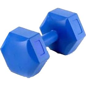 Scucs 4 kg Mavi Tek Plastik Dambıl