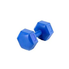Scucs 4 kg Mavi Tek Plastik Dambıl