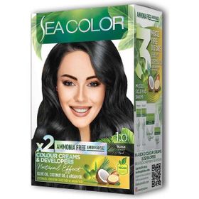 Sea Color 2x2 Siyah No:1.0 Krem Saç Boyası