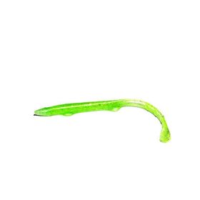 Sea Horse 10 cm 5'li Zargana Köpekbalığı