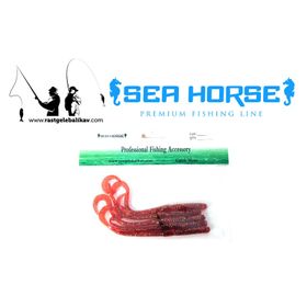 Sea Horse 15 cm L06 Live Worm Suni Yem