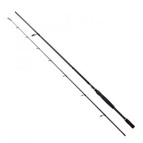 Sea Horse 2,70 25-70 gr Ranger Spinning Rod