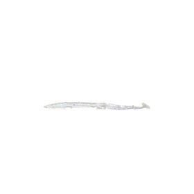 Sea Horse B16 10 cm 5'li Silikon Zargana Köpekbalığı