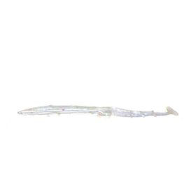 Sea Horse B16 10 cm 5'li Silikon Zargana Köpekbalığı