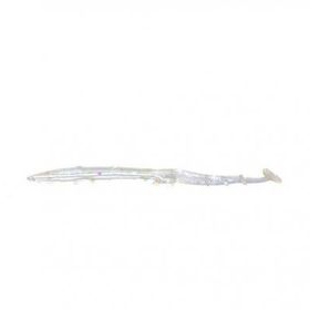 Sea Horse B16 10 cm 5'li Silikon Zargana Köpekbalığı