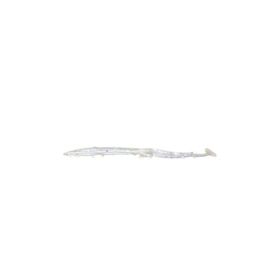 Sea Horse B16 10 cm 5'li Silikon Zargana Köpekbalığı