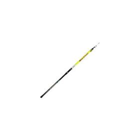 Sea Horse Big Cast 3.90 100-250 GR Surf Kamış