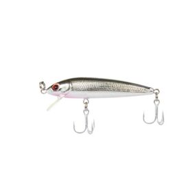 Sea Horse CY-111 6 cm L111-09 3 gr Sahte Balık