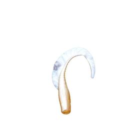 Sea Horse L02 Prenses 2'li Paket 7.5 gr Suni Yem