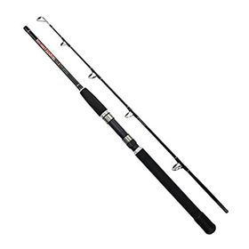 Sea Horse Master 15 25 Lbs 2,40 gr İki Parça Kamış