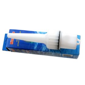 Sea Horse Ming Hao Derin Su Işığı