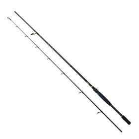 Sea Horse Ranger 2.40 20-60 gr Spinning Road