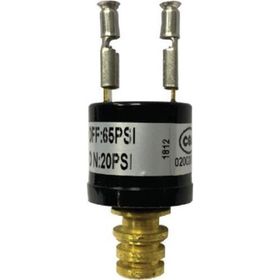 Seaflo 65 Psi Hidrofor Otomatiği
