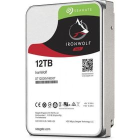 Seagate 8,9 cm 3,5 inç 256 mb 12 TB SATA3 IronWolf Pro 7200