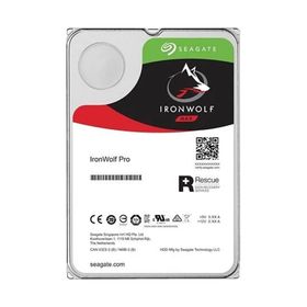 Seagate 8,9 cm 3,5 inç 256 mb 12 TB SATA3 IronWolf Pro 7200