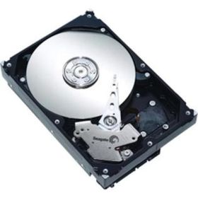 Seagate Barracuda ST250DM000 SATA 3.0 7200 RPM 3.5 250 GB Harddisk