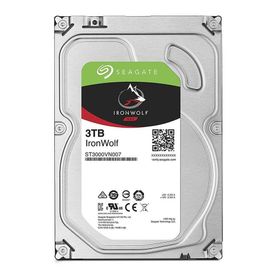 Seagate Ironwolf 3TB ST3000VN007 Sabit Disk