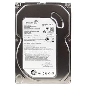 Seagate ST3250318AS Harddisk