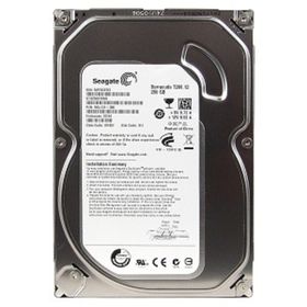 Seagate ST3250318AS Harddisk