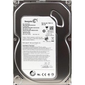 Seagate ST3250318AS Harddisk