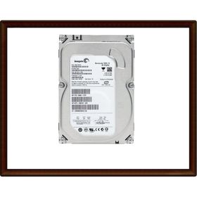 Seagate ST380815AS Harddisk