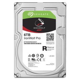 Seagate ST6000NE0023 6TB Ironwolf Sabit Disk