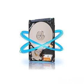 Seagate ST9250315AS Harddisk