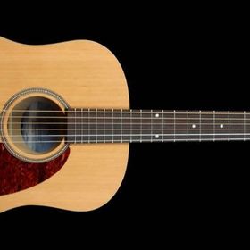 Seagull S6 Original Akustik Gitar