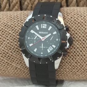 Sebago SBGS0411A-1 Erkek Kol Saati