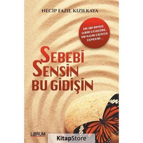 Sebebi Sensin Bu Gidişin - Necip Fazıl Kızılkaya