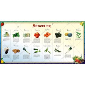 SEBZELER - AYŞEN OY
