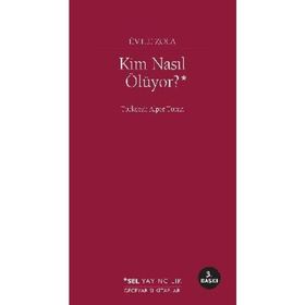 SEÇİMLERİ KIMLER NASIL KAZANIYOR? DELTA PLANI - BIROL ERTAN