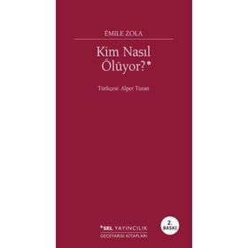 SEÇİMLERİ KIMLER NASIL KAZANIYOR? DELTA PLANI - BIROL ERTAN