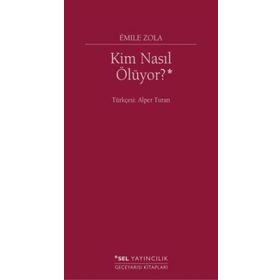SEÇİMLERİ KIMLER NASIL KAZANIYOR? DELTA PLANI - BIROL ERTAN