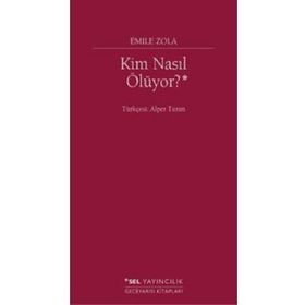 SEÇİMLERİ KIMLER NASIL KAZANIYOR? DELTA PLANI - BIROL ERTAN