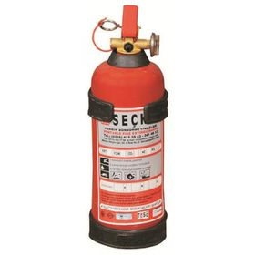 Seçkin 1 kg Yangın Söndürme Tüpü