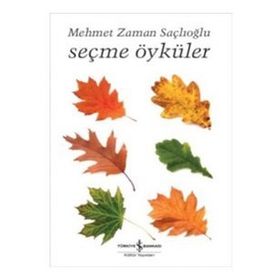 Seçme Öyküler - Faik Baysal