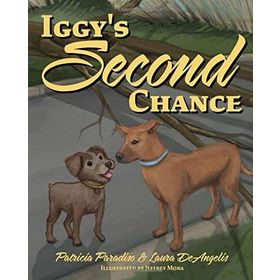 Second Chance Summer - Morgan Matson