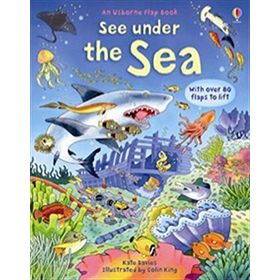 See Under the Sea - Usborne Yayınları