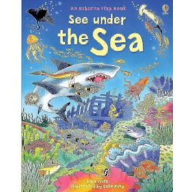 See Under the Sea - Usborne Yayınları