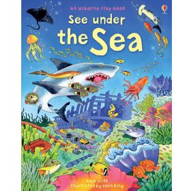 See Under the Sea - Usborne Yayınları