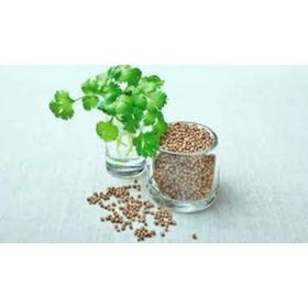 Seed 10 gr 1 Paket Kişniş Tohumu