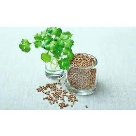 Seed 10 gr 1 Paket Kişniş Tohumu