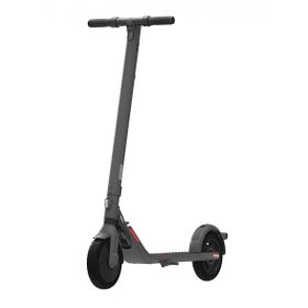 Segway Ninebot Kickscooter E25E Siyah Elektrikli Scooter