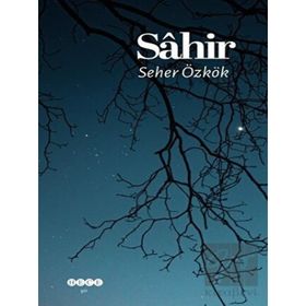 Seher Özkök Sahir