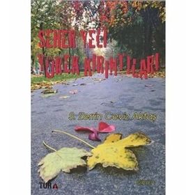 Seher Yeri Yürek Kırıntıları - S. Zerrin Ceviz Aktaş
