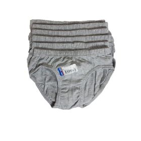 Seher Yıldızı Erkek Çocuk Renkli 12li Slip Külot