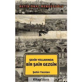 Şehir Yollarında Bir Şair Gezgin - Metin Önal Mengüşoğlu