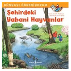 Şehirdeki Yabani Hayvanlar - Dünyayı Öğreniyorum - Annette Neubauer